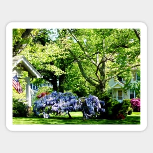 Spring - Wisteria on Lawn Sticker